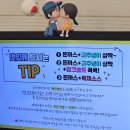 야옹이돈까스 이미지