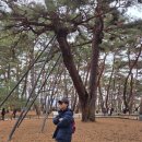 탁사정 | 왕사남열풍 줄서서 들어간 청령포,제천역 빨간오뎅축제 ,의림지,탁사정 생생후기