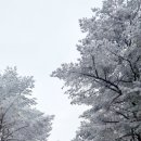 1100고지 휴게소 ↔ 제주시 방향 이미지