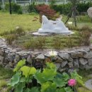 경주남산한의원 이미지