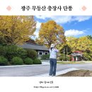 무등산 드라이브 하고 광주 충장사 단풍 나들이