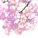 서울카서비스 이미지