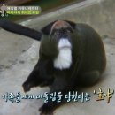호야농장 이미지