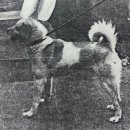 창용농장 이미지