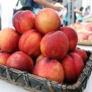 찰떡궁합 이미지