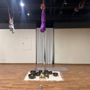 다미야 | 대구 달서구 “다미야요가 필라테스“ 용산동 요가학원 명상부터 체형교정까지