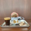 와이즈랩 이미지