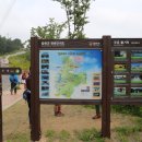 황매산 벚꽃길 이미지