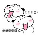백마골프타운