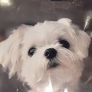 한나어린이집 이미지