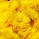 칠성약국 이미지