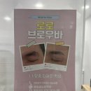 로로브로우바