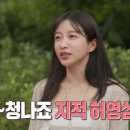 하니2 뉴스엔