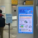 저도 아랫개 주차장 | [청주공항] 주말 오전 청주공항 주차장 이용 후기 주차장별 차이점!