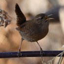 둥지 몸짓의 보금자리 이미지