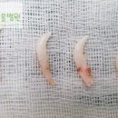 동천 동물병원 이미지