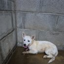 군산시-00939 이미지