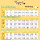 셀럽도기 이미지