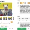 포인핸드 이미지
