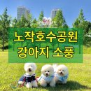 노작호수공원 이미지