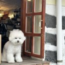 1938 | 함덕해수욕장 근처 카페 : 1938함덕차관 다녀온 후기