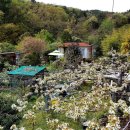 금강4농장 이미지