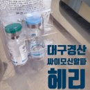 의료법인 동오의료재단 도움병원 | 경산 암요양병원 외래 면역치료 &amp; 입원 비용 실손보험 도움 받기