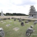 미륵사지관광지 이미지