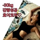호이플랜