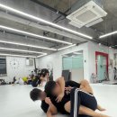 금오태권도 | 의정부주짓수 컨트롤 짐 금오 방문 후기