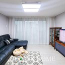 금산느티나무 이미지