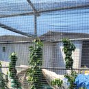 별샘농장 이미지