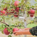 열방농장 이미지