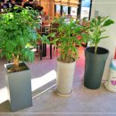 내곡동643 이미지