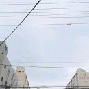 황금코다리 건너편 이미지