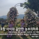 신광농장 | 포항 아이와 가볼만한곳, 아기랑 모래놀이와 텃밭 체험 가능한 '농부의하루' 연휴 순삭 솔직후기
