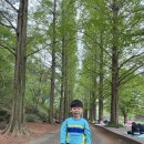 진주 수목원으로 봄소풍을 다녀왔어요~~^^ 이미지
