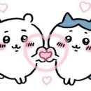 최부짱 이미지