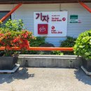 기자레스토랑 이미지