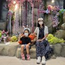 (주)다은네이처