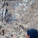 스토리나라 이미지