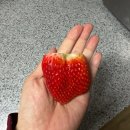 동빈농장 | 출산준비라는걸 해볼까 32-33주차 임신일기(4)