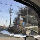 안산 대부도 키즈풀빌라 휴식 호크니의휴식 내돈내산 방문 후기 저렴하게 이용하는 꿀팁