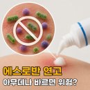 세균소방관