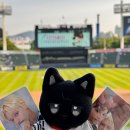 LG 트윈스 직관 후기 with 여상이 시구