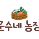 금손농장 이미지