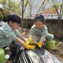 충주 충주남산유치원 충북일보