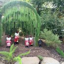 제주커피식물원 | 🌿 (25년 12월) 제주 실내 관광지 여미지 식물원 후기 ｜실내 거의 전부 담은 솔직 후기