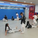 경희대 태권나라 태권도장 이미지