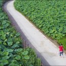 안압지농장 이미지